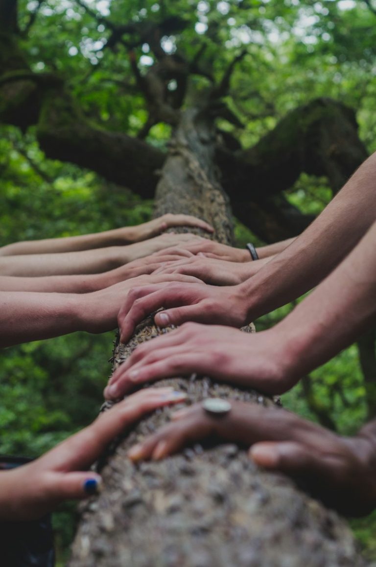 a group of people holding hands on top of a tree@Unsplash